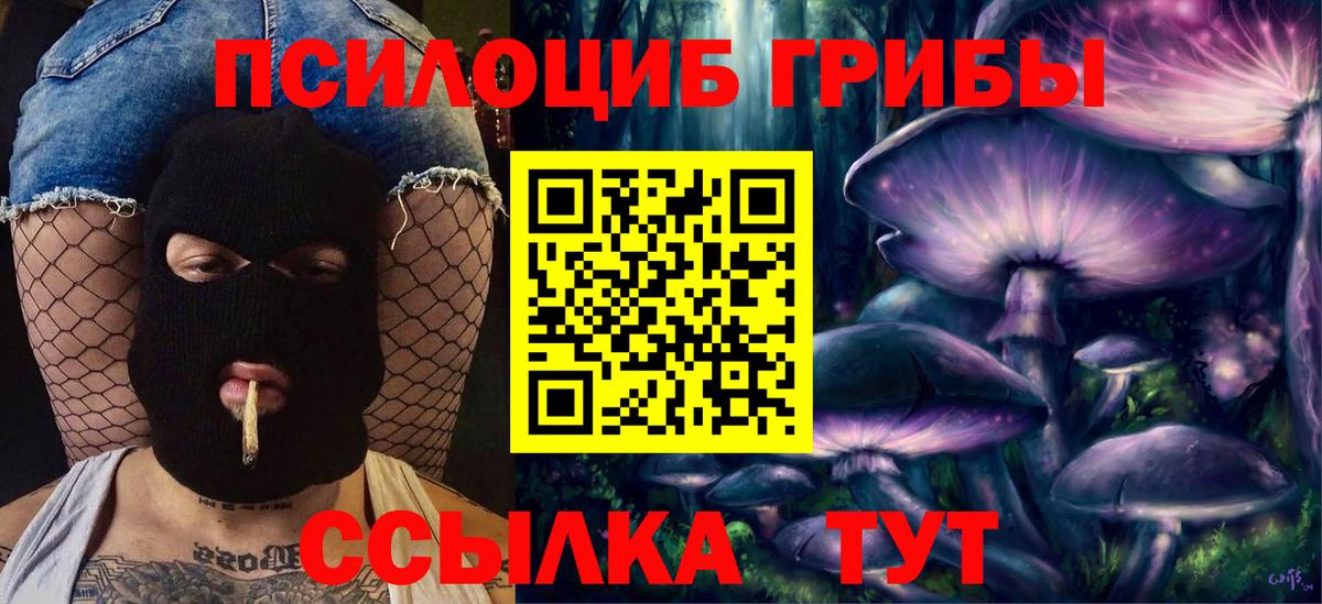 Псилоцибиновые грибы GOLDEN TEACHER  Вход с VPN  купить закладку  Верхняя Пышма 